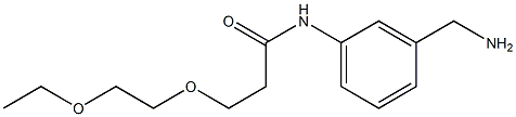 N-[3-(aminomethyl)phenyl]-3-(2-ethoxyethoxy)propanamide Struktur