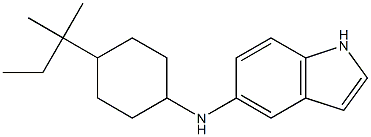 N-[4-(2-methylbutan-2-yl)cyclohexyl]-1H-indol-5-amine Struktur