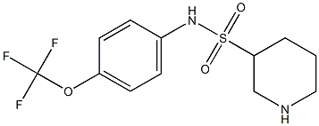 N-[4-(trifluoromethoxy)phenyl]piperidine-3-sulfonamide Struktur