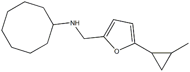 N-{[5-(2-methylcyclopropyl)furan-2-yl]methyl}cyclooctanamine Struktur