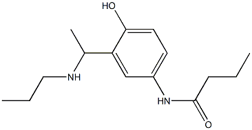 N-{4-hydroxy-3-[1-(propylamino)ethyl]phenyl}butanamide Struktur