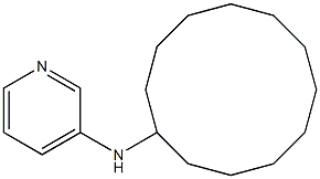 N-cyclododecylpyridin-3-amine Struktur