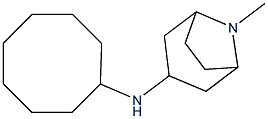 N-cyclooctyl-8-methyl-8-azabicyclo[3.2.1]octan-3-amine Struktur