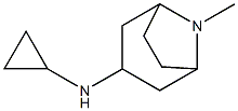 N-cyclopropyl-8-methyl-8-azabicyclo[3.2.1]octan-3-amine Struktur