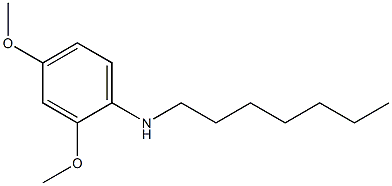 N-heptyl-2,4-dimethoxyaniline Struktur