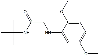 N-tert-butyl-2-[(2,5-dimethoxyphenyl)amino]acetamide Struktur