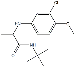 N-tert-butyl-2-[(3-chloro-4-methoxyphenyl)amino]propanamide Struktur