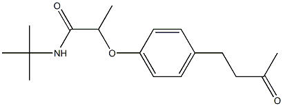 N-tert-butyl-2-[4-(3-oxobutyl)phenoxy]propanamide Struktur