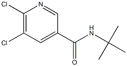 N-tert-butyl-5,6-dichloropyridine-3-carboxamide Struktur