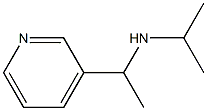 propan-2-yl[1-(pyridin-3-yl)ethyl]amine Struktur