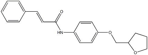 (E)-3-phenyl-N-[4-(tetrahydro-2-furanylmethoxy)phenyl]-2-propenamide Struktur