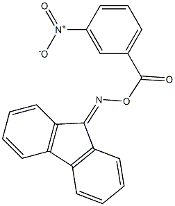 N-(9H-fluoren-9-ylidene)-N-[(3-nitrobenzoyl)oxy]amine Struktur