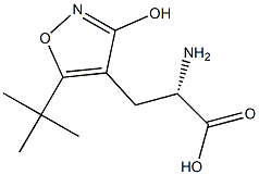 (S)-2-Amino-3-(3-hydroxy-5-tert-butyliosxazol-4-yl)propanoic acid Struktur