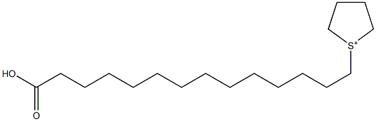 1-(13-Carboxytridecyl)thiolan-1-ium Struktur