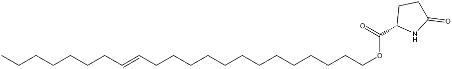 (S)-5-Oxopyrrolidine-2-carboxylic acid 14-docosenyl ester Struktur