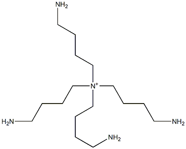 Tetrakis(4-aminobutyl)aminium Struktur