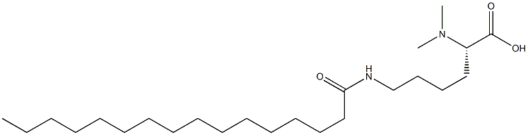 N6-Hexadecanoyl-N2,N2-dimethyllysine Struktur