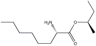 (R)-2-Aminooctanoic acid (S)-1-methylpropyl ester Struktur