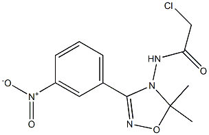 2-Chloro-N-[3-(3-nitrophenyl)-5,5-dimethyl-1,2,4-oxadiazol-4(5H)-yl]acetamide Struktur