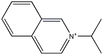 2-(1-Methylethyl)isoquinolin-2-ium Struktur