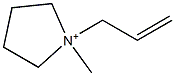 1-Allyl-1-methylpyrrolidinium Struktur