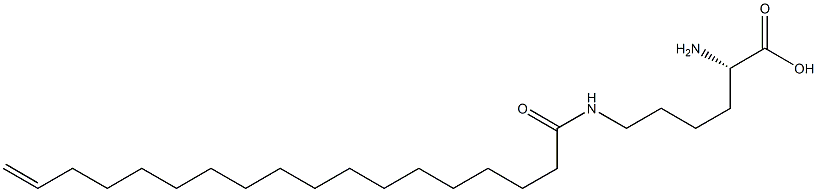 N6-(17-Octadecenoyl)lysine Struktur