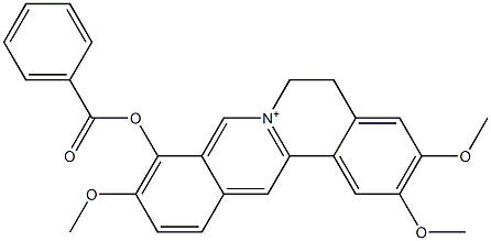 5,6-Dihydro-2,3,10-trimethoxy-9-(benzoyloxy)dibenzo[a,g]quinolizinium Struktur