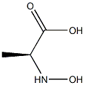 N-Hydroxy-L-alanine Struktur