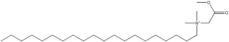 N-(Methoxycarbonylmethyl)-N,N-dimethyl-1-icosanaminium Struktur