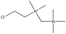 (2-Chloroethyl)dimethyl[(trimethylsilyl)methyl]aminium Struktur