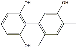 4',6'-Dimethyl-1,1'-biphenyl-2,3',6-triol Struktur