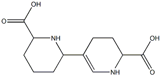 1,1',2',3',4,4',5,5',6,6'-Decahydro[3,2'-bipyridine]-6,6'-dicarboxylic acid Struktur