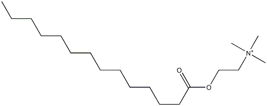 N,N,N-Trimethyl-2-[(1-oxotetradecyl)oxy]ethanaminium Struktur