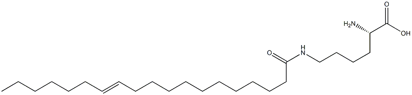 N6-(12-Nonadecenoyl)lysine Struktur