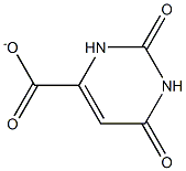 Orotic acidanion Struktur