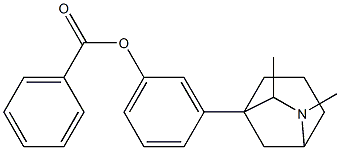 3-(6,7-Dimethyl-6-azabicyclo[3.2.1]octan-1-yl)phenol benzoate Struktur