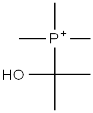 (1-Hydroxy-1-methylethyl)trimethylphosphonium Struktur