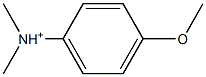 N,N-Dimethyl-4-methoxyanilinium Struktur