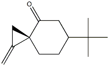 (3S)-6-tert-Butyl-1-methylenespiro[2.5]octan-4-one Struktur