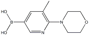 5-methyl-6-morpholinopyridin-3-yl-3-boronic acid Struktur