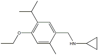 N-(4-ethoxy-5-isopropyl-2-methylbenzyl)cyclopropanamine Struktur