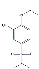 N1-isopropyl-4-(isopropylsulfonyl)benzene-1,2-diamine Struktur