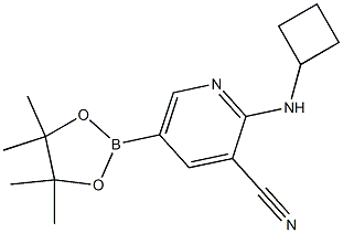 2-(cyclobutylamino)-5-(4,4,5,5-tetramethyl-1,3,2-dioxaborolan-2-yl)pyridine-3-carbonitrile Struktur