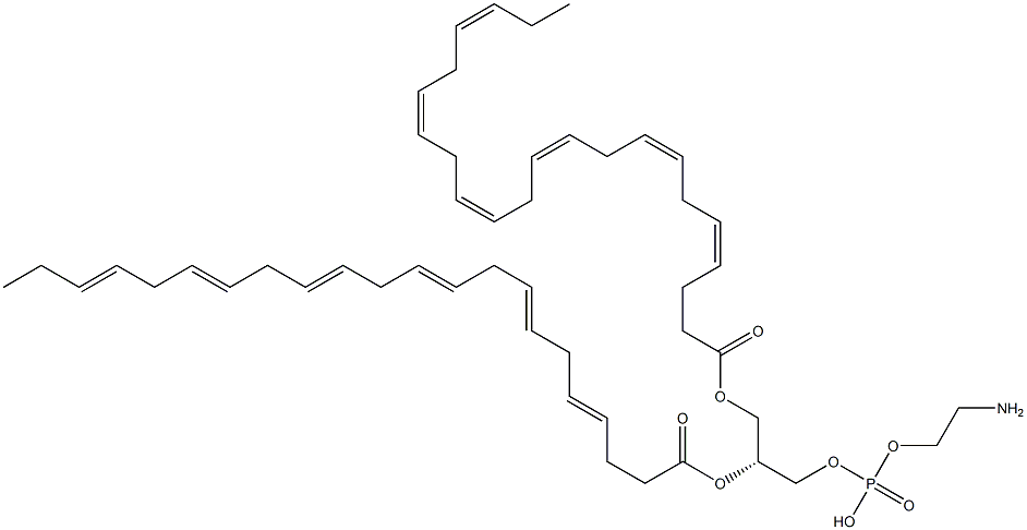 2-aminoethoxy-[(2R)-2,3-bis[[(4Z,7Z,10Z,13Z,16Z,19Z)-docosa-4,7,10,13,16,19-hexaenoyl]oxy]propoxy]phosphinic acid Struktur