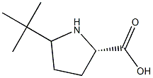 5-tert-butylproline Struktur