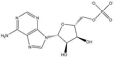 adenylate cyclase-stimulating protein Struktur