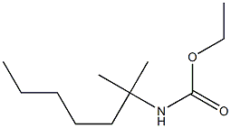 CARBAMICACID,TERT-OCTYL-,ETHYLESTER Struktur