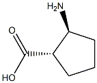 (1S,2S)-2-amino-cyclopentanecarboxylic acid Struktur