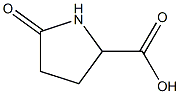 DL-PYROGLUTAMIC ACID (USP-23) Struktur