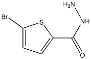 5-BROMOTHIOPHENE-2-CARBOHYDRAZIDE Struktur